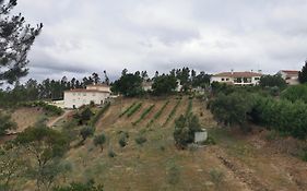 Cantinho Da Alice Family Villa